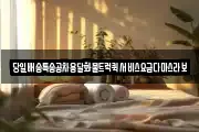 당일배송특송공차용달화물트럭퀵서비스요금다마스라보