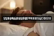 당일배송특송공차용달화물트럭퀵서비스요금다마스라보