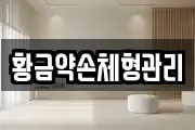 황금약손체형관리