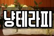 냥테라피