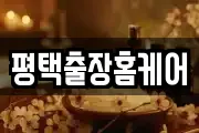평택출장홈케어