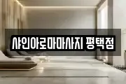 샤인아로마마사지 평택점