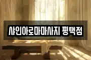 샤인아로마마사지 평택점