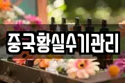 중국황실수기관리