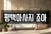 경기도 평택시 합정동 마사지, 지압등 업체정보