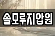 솔모루지압원