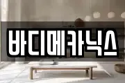 바디메카닉스