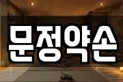 문정약손