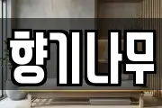 향기나무