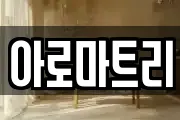 아로마트리