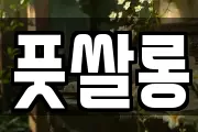 풋쌀롱