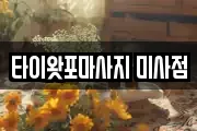 타이왓포마사지 미사점