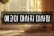 에코미 마사지 미사점