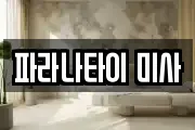 파라나타이 미사