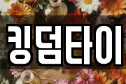 킹덤타이