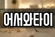 어서와타이