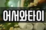 어서와타이