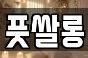 풋쌀롱
