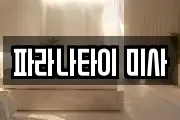 파라나타이 미사