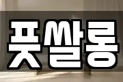 풋쌀롱