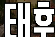 태후