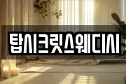탑시크릿스웨디시