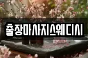 출장마사지스웨디시