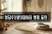 경기도 화성시 병점동 마사지, 지압등 업체정보