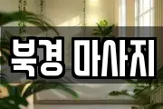 북경 마사지