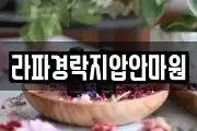 라파경락지압안마원