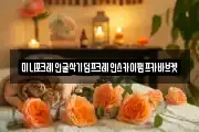 미니포크레인굴삭기덤프크레인스카이펌프카바브켓