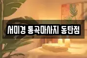 경기도 화성시 석우동 마사지, 지압등 업체정보