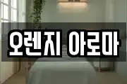 오렌지 아로마