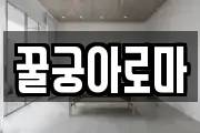 꿀궁아로마