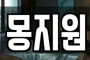 몽지원