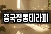 중국정통테라피