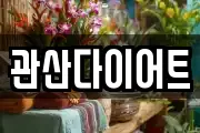 관산다이어트