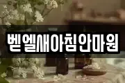 벧엘새아침안마원