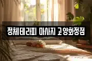 정체테라피 마사지 고양화정점