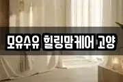 모유수유 힐링맘케어 고양