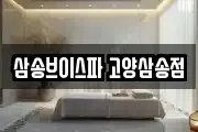 삼송브이스파 고양삼송점