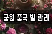 궁원 중국 발 관리