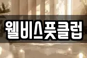 웰비스풋클럽
