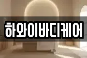 하와이바디케어