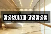 삼송브이스파 고양삼송점