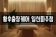황후출장케어 일산파주점