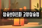 삼송브이스파 고양삼송점