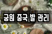 궁원 중국 발 관리