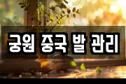 궁원 중국 발 관리