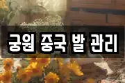 궁원 중국 발 관리